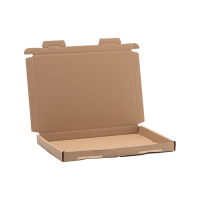 Großbriefkarton