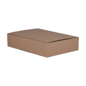 DHL Kleinpaket 350 x 250 x 80 mm (Automatikbodenkarton)