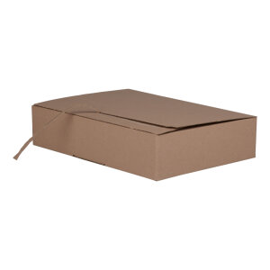 DHL Kleinpaket 350 x 250 x 80 mm (Automatikbodenkarton)