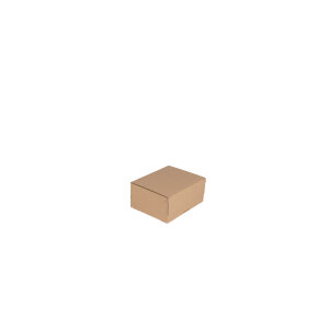 Automatikbodenkarton 160 x 130 x 70 mm